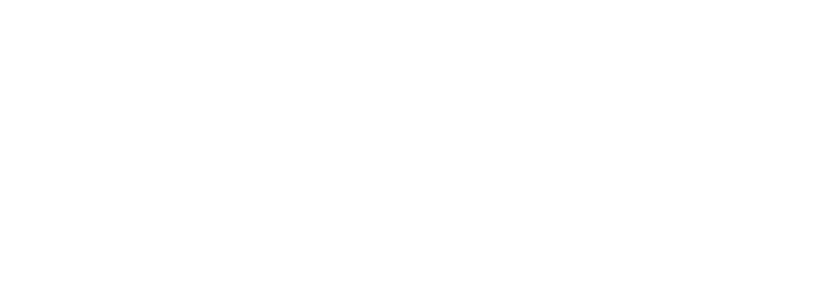 Zebra_Logo_W